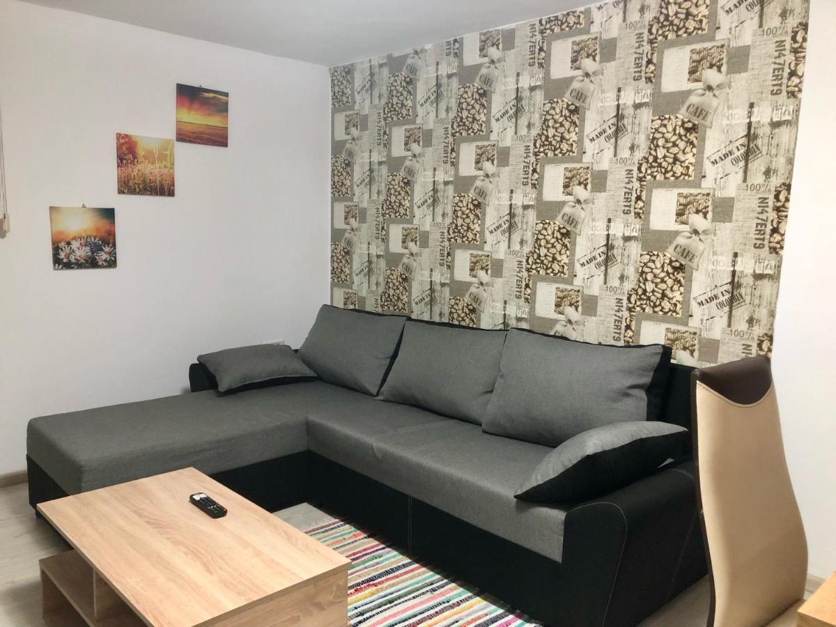 Central Park - Big Apartment - 3 Rooms - Free Parking T5 Timisoara Exterior foto