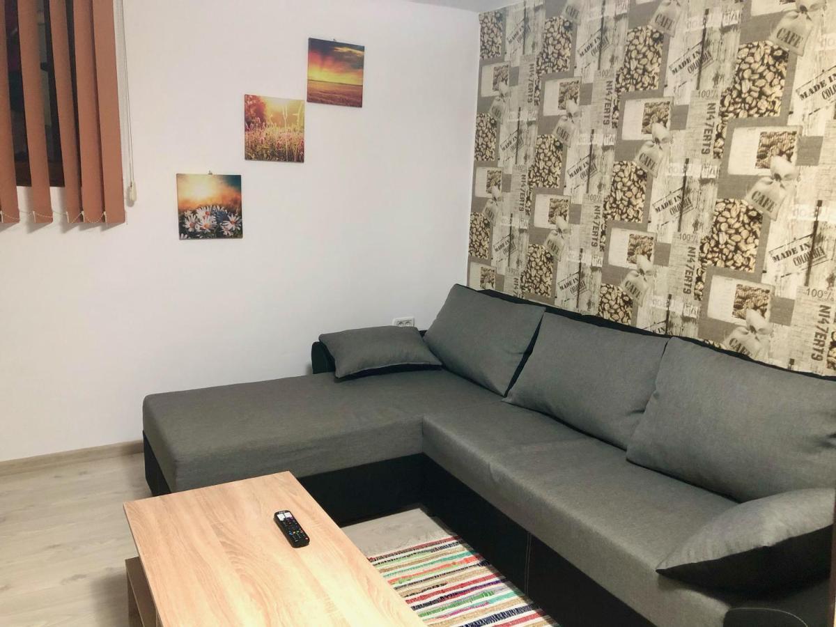 Central Park - Big Apartment - 3 Rooms - Free Parking T5 Timisoara Exterior foto